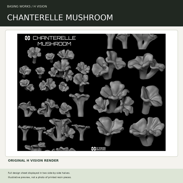 H Vision - Chanterelle Mushroom