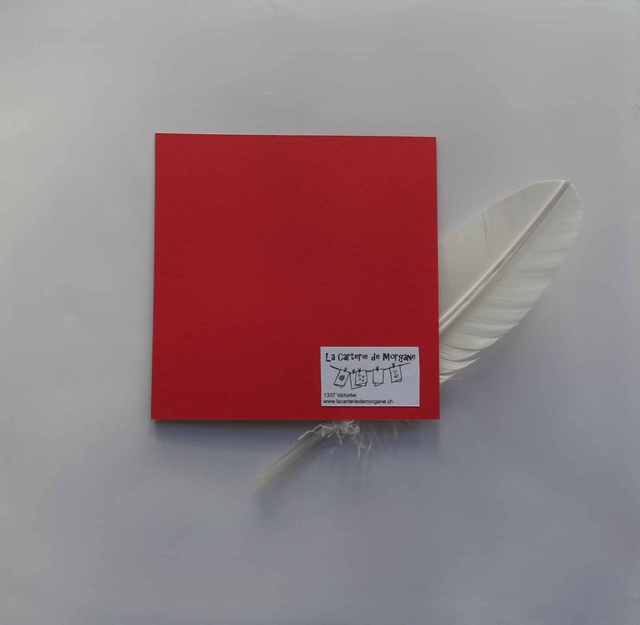 Au-dessus de la forêt de sapins