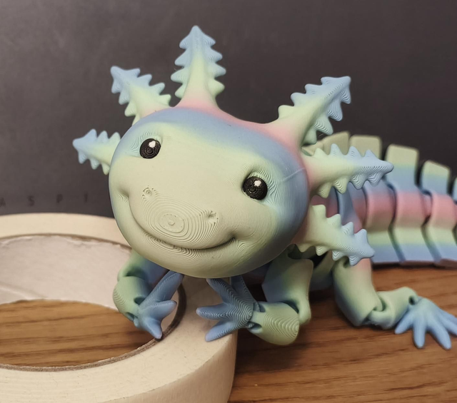 Annabelle the axolotl 