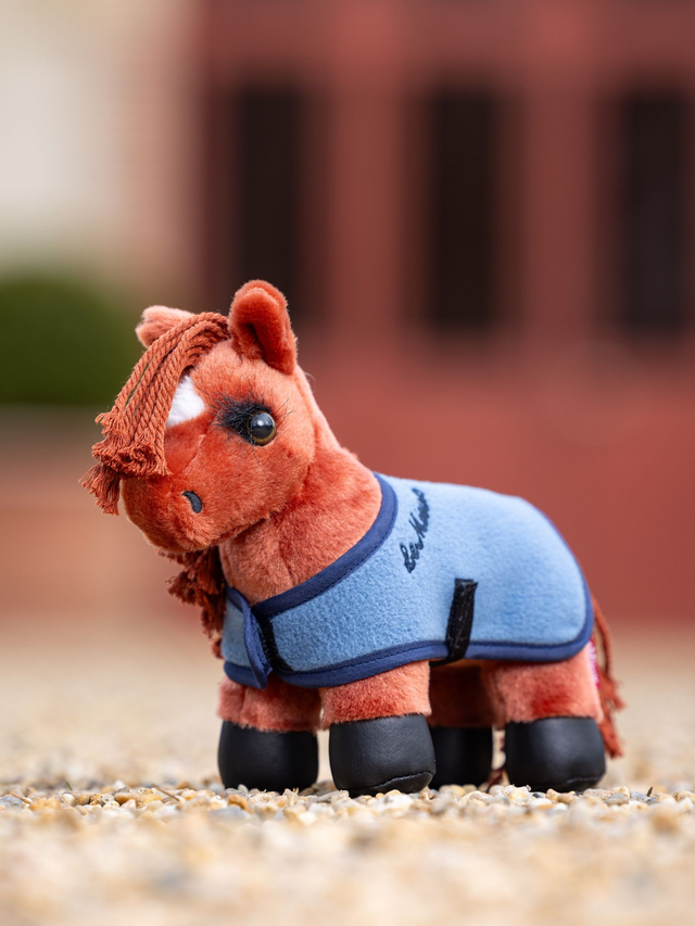 Tiny Pony Thomas