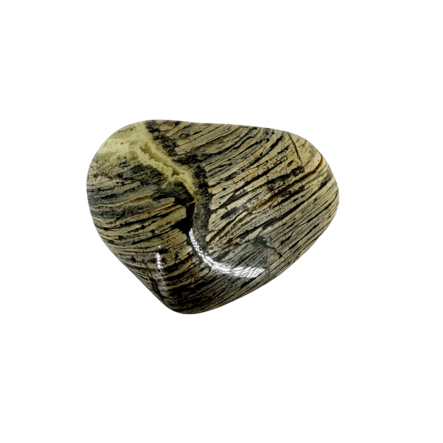 Pierre Roulée ~ Jaspe Feuille d&#039;Argent