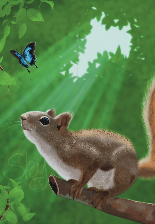 Marque page écureuil