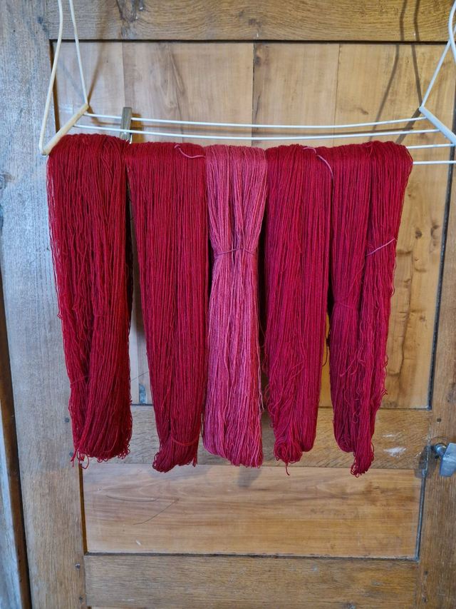 Atelier teinture végétal 