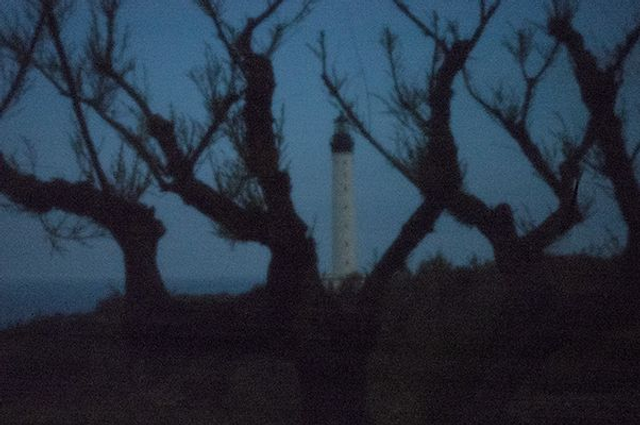 19# . D'entre les Tamaris