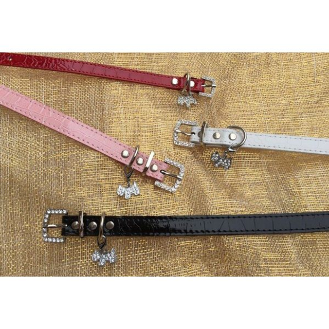 Halsband bedel hondje XS