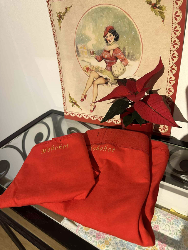 Pack sous-vêtements brodés Noël couple