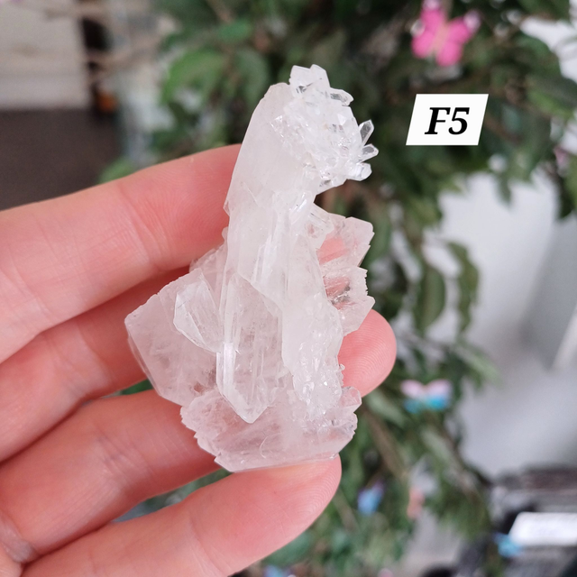 Lemurian Faden Quartz
