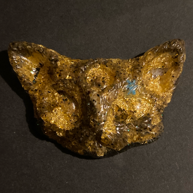 Cat head #2