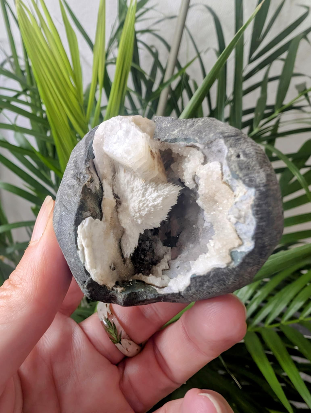 SCOLECITE WITH APOPHYLLITE -      weight 153g / size 9x6cm