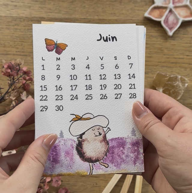 Mon joli calendrier illustré 2026 (2 éditions)