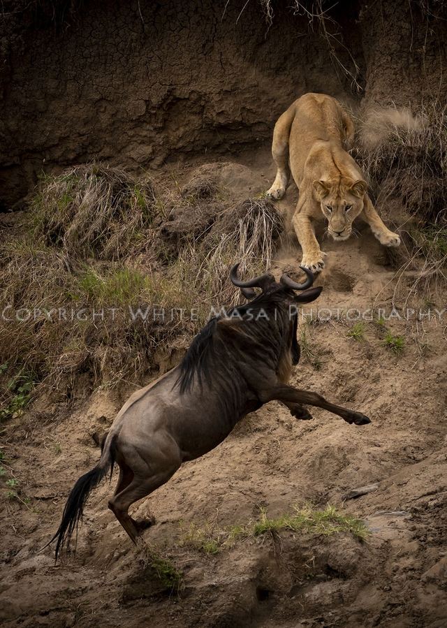 Hiding in plain sight