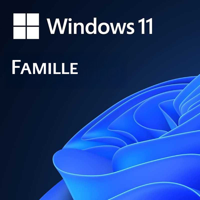 Licence Windows 11 Famille