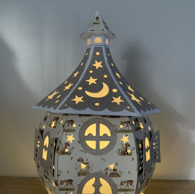 Maison lumineuse animaux