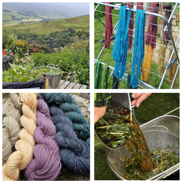 1 day Natural Dyeing Workshop 6th May