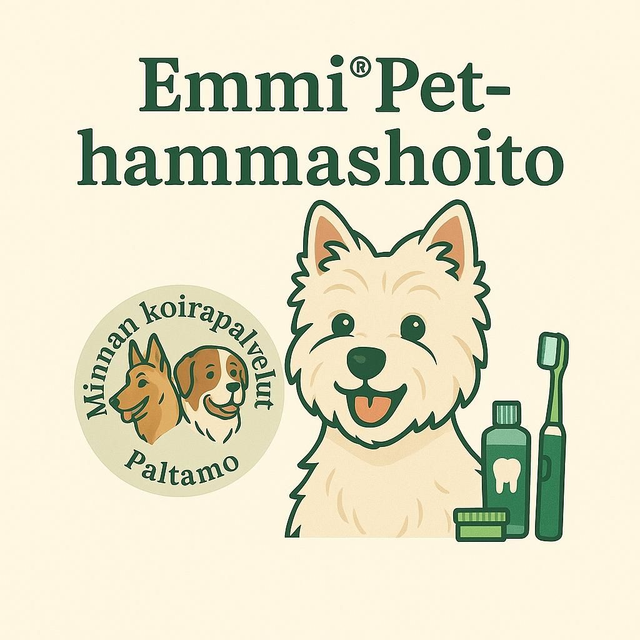 Minnan Koirapalvelut Emmi-pet hammashoito omalla harjaspäällä 