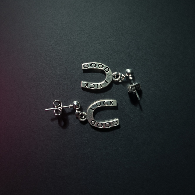 Horseshoe Earrings