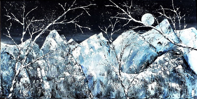 Nuit d'hiver / Winter night