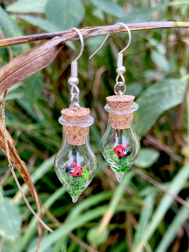 Boucles d&#039;oreilles coccinelle