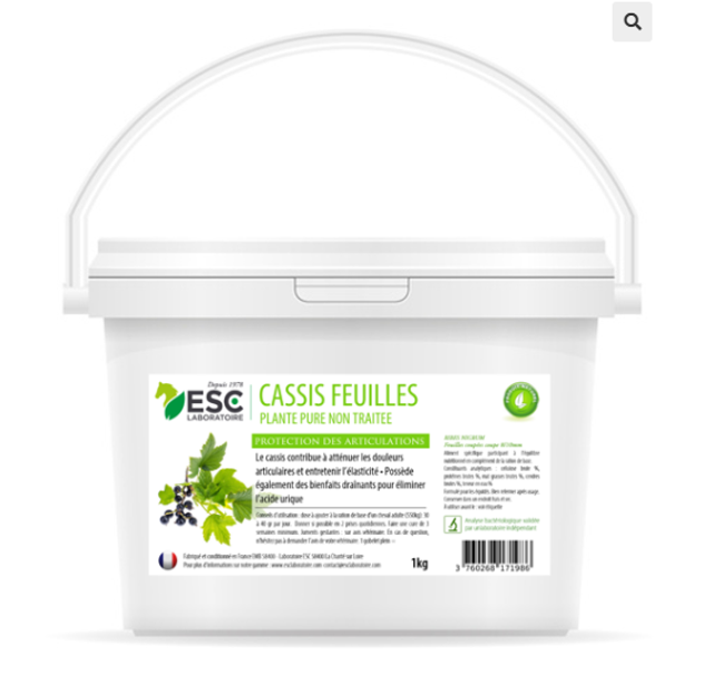 CASSIS – Articulations cheval – Plante pure