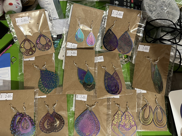 Rainbow Steel Earrings 