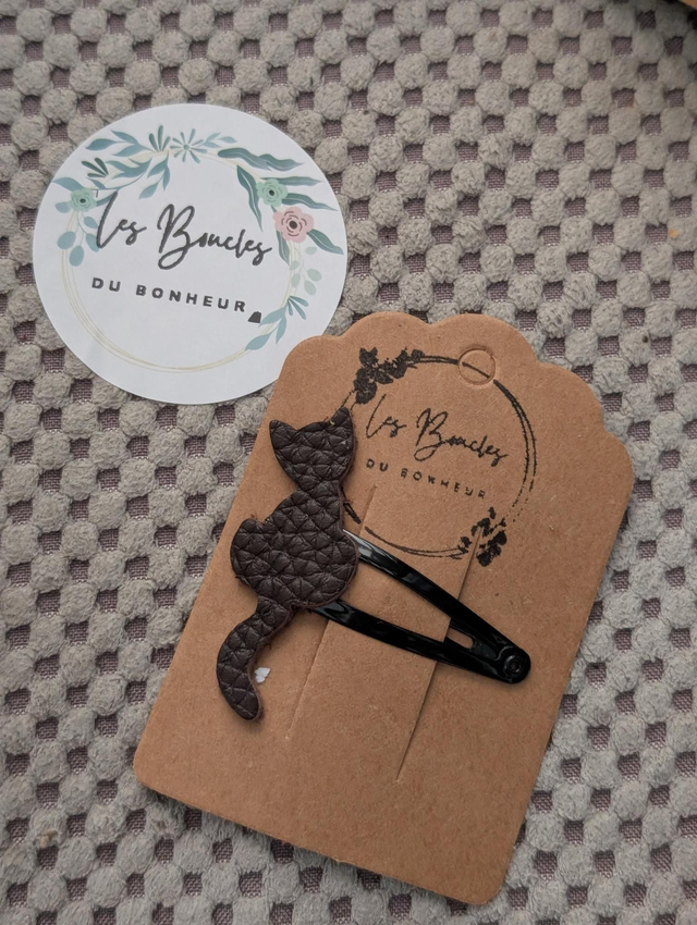 Barrette b037