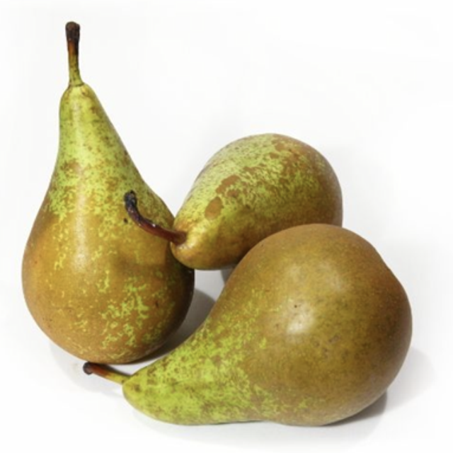 Poire Conférence 
