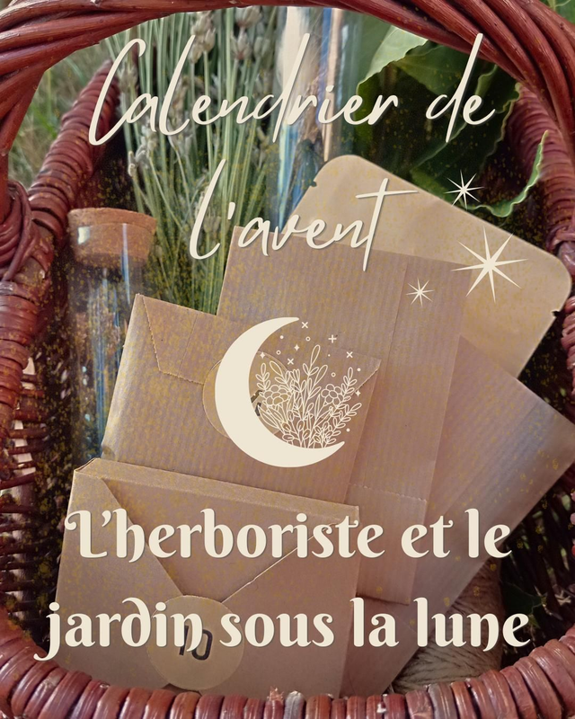 Précommande - calendrier de l'avent 12 cases - l'herboriste et le jardin sous la lune