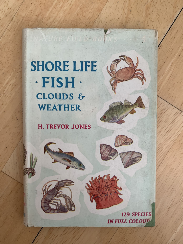 Shore Life, Fish, Clouds And Weather (H. Trevor Jones - 1952)