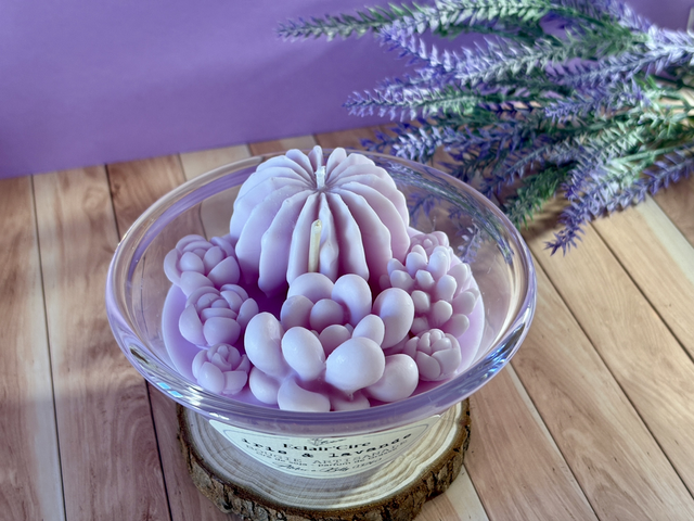 Cactus iris et lavande - 190gr