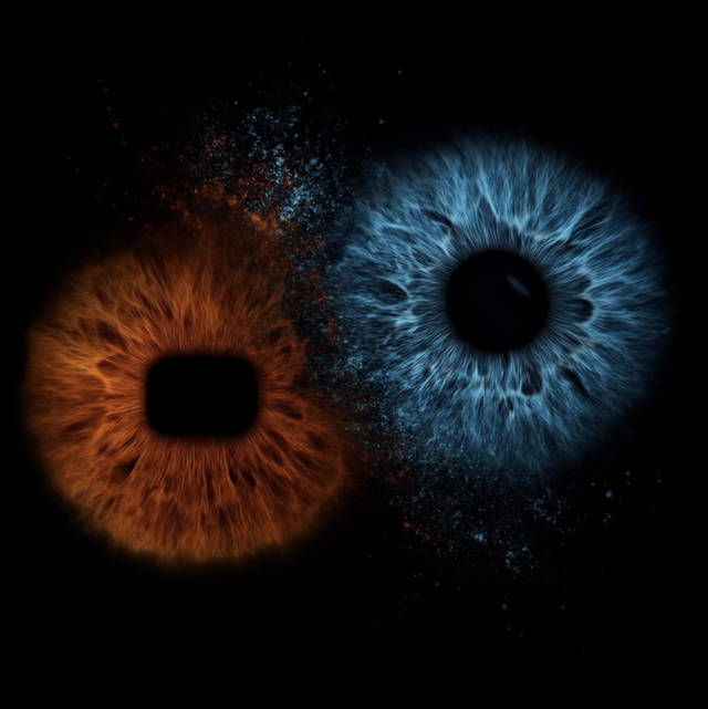 JOCO CHARM PERSONNALISÉ EYE TO EYE 