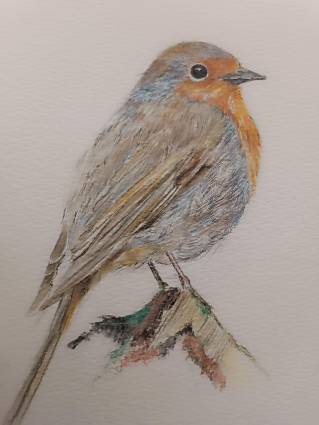 Tableau Aquarelle. Piou Piou  17,5/13 cm