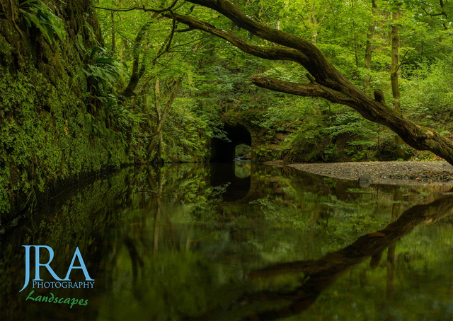 Summer Reflections at School Lane Bridge