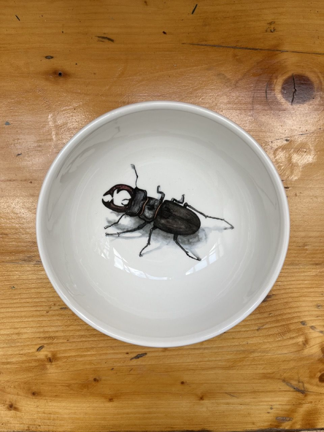 Müsli Schüssel Hirschkäfer