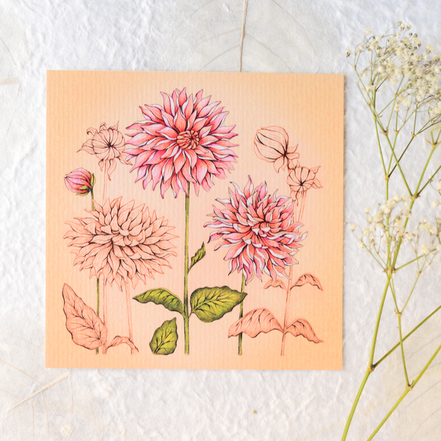 &quot;Dahlia flower&quot; postcard