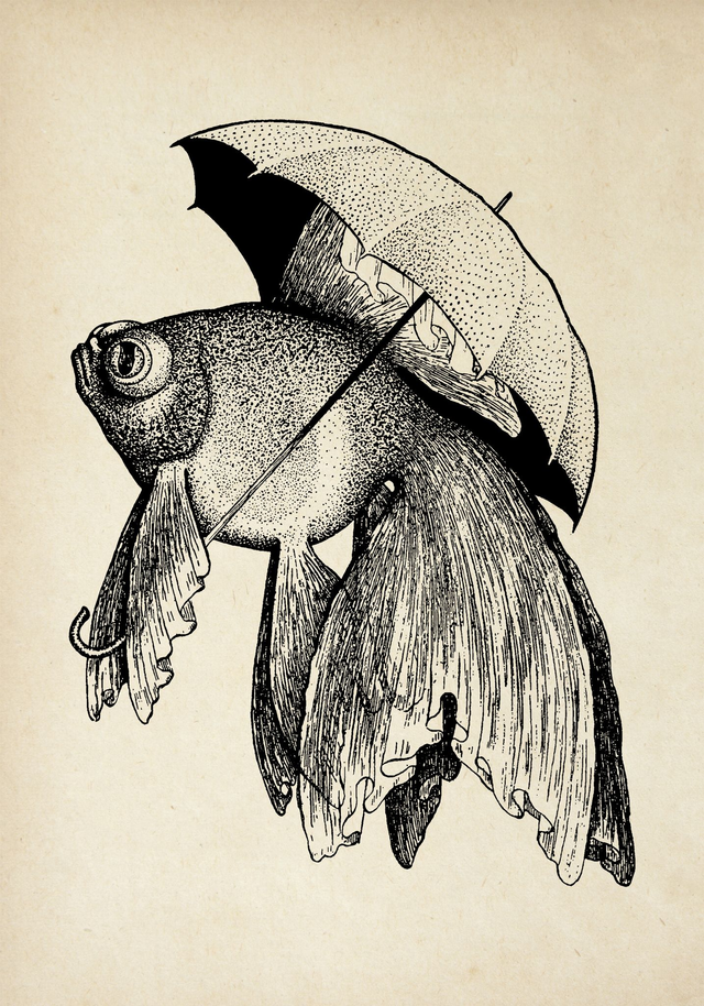 Umbrella Fish