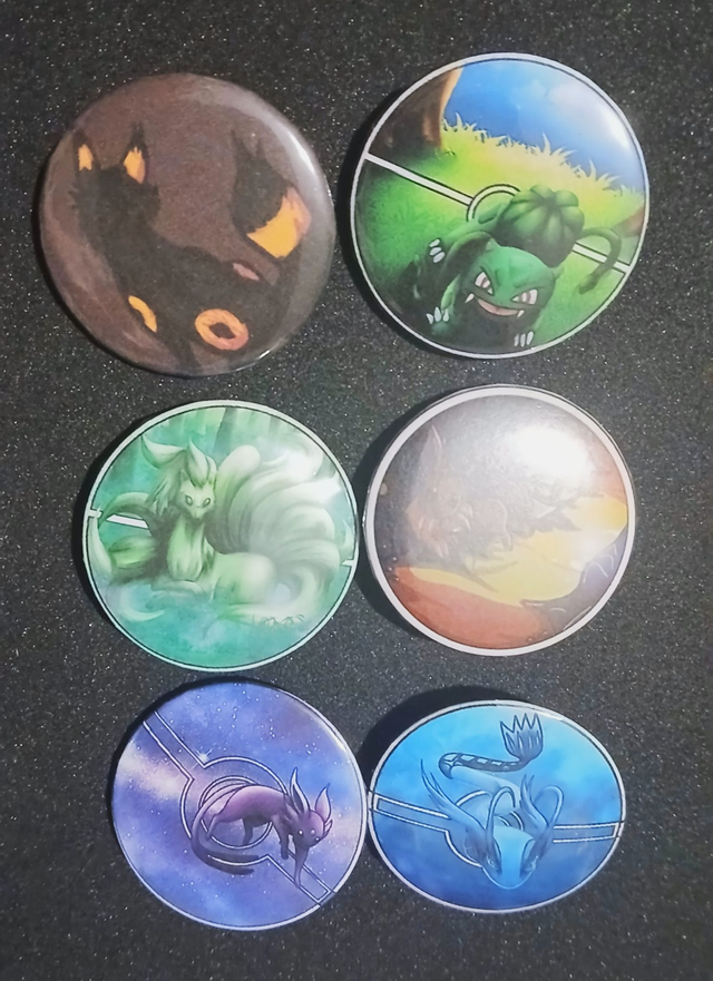 Pokemon Lots 6 badges