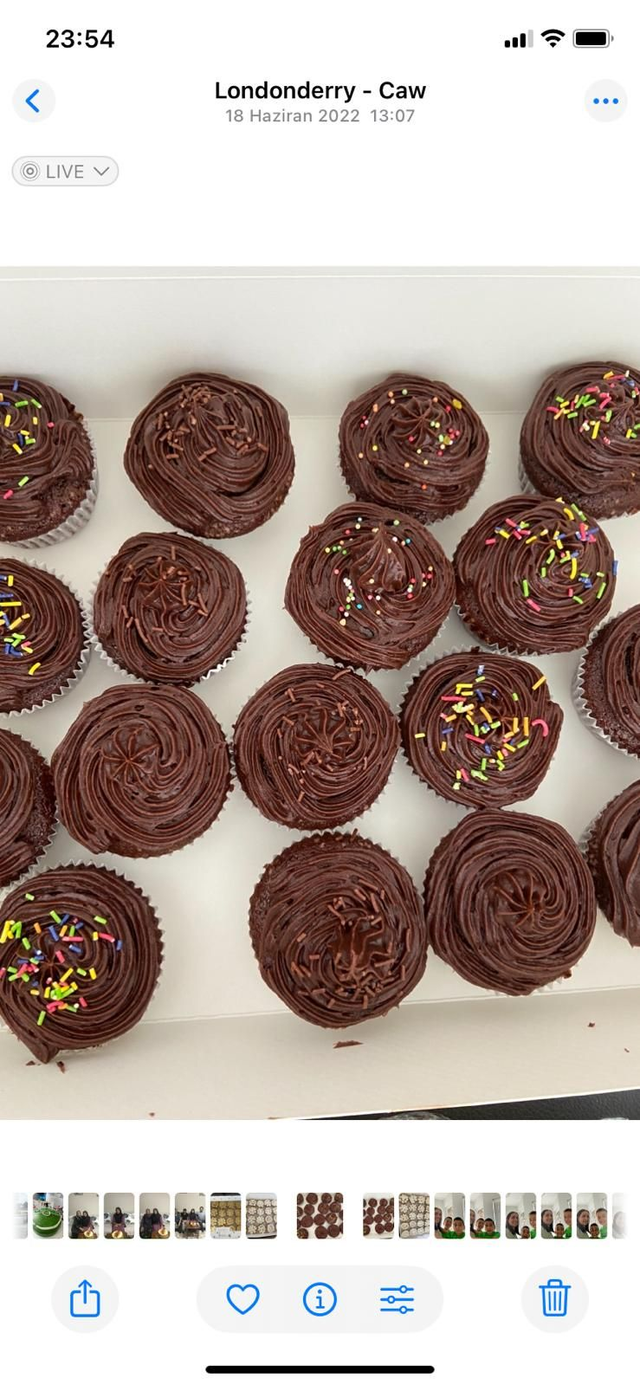 Mini Cupcake – 16 Pieces