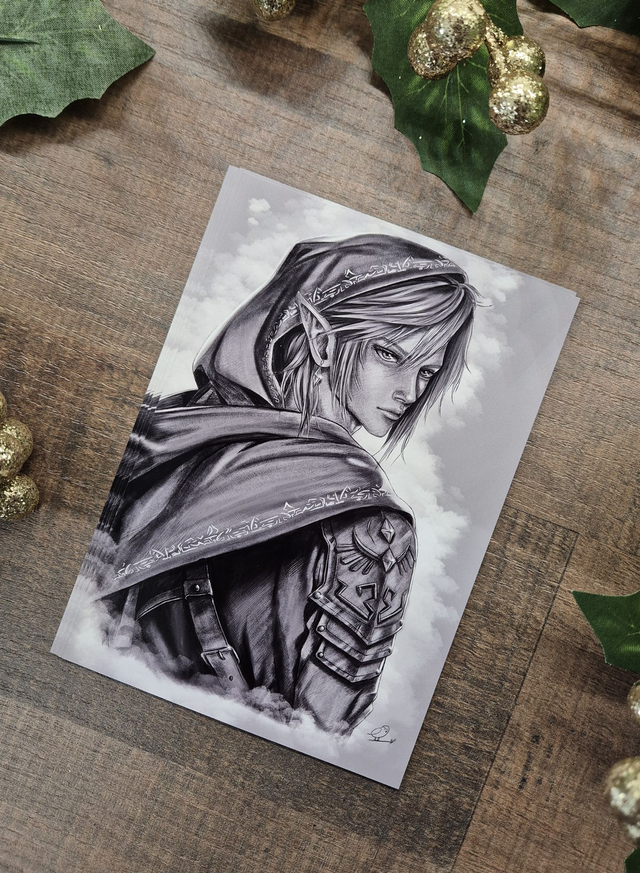 Link - Zelda