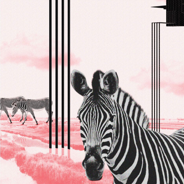 RE-CONNECTING | 21 - 02