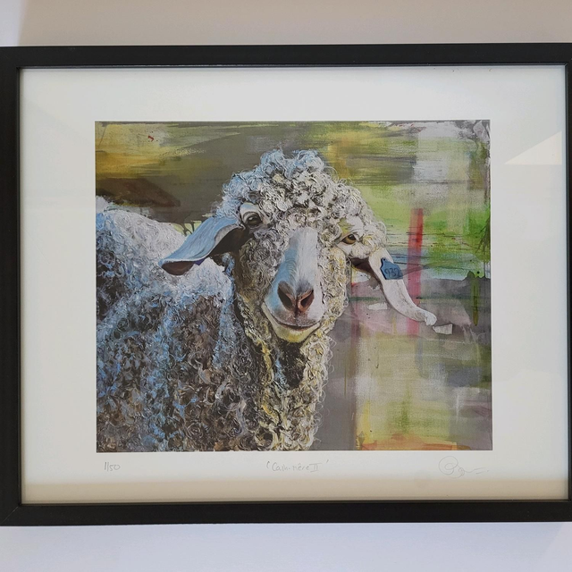 Cash-Mere ll' Angora goat- Limited Edition Art Print, 40 x50cm