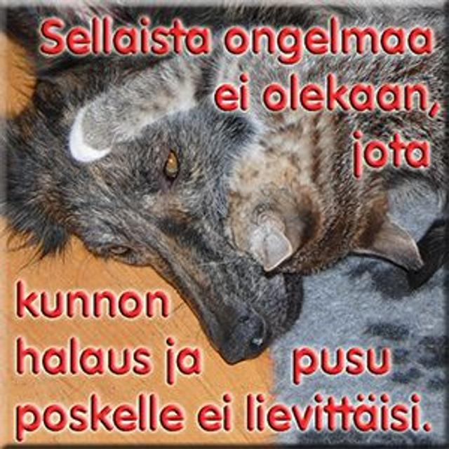 Magneetti "Sellaista ongelmaa ei olekaan"