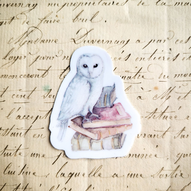 Stickers &quot;La chouette aux grimoires&quot;