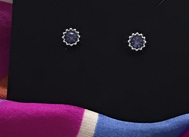 Children-Adult Plastic Studs -Purple - CASEP02