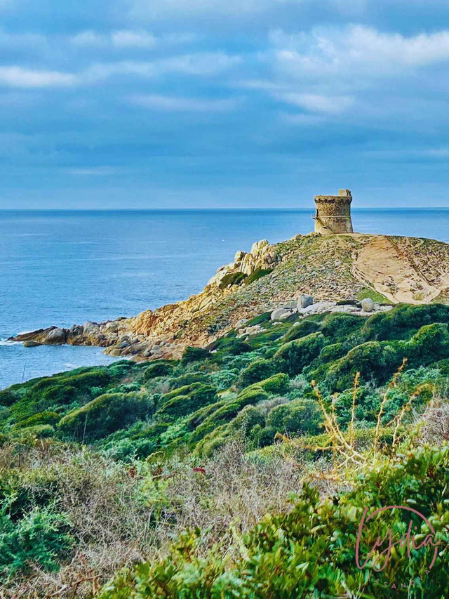 Sur les sentiers de Sagone, la tour d'Omigna