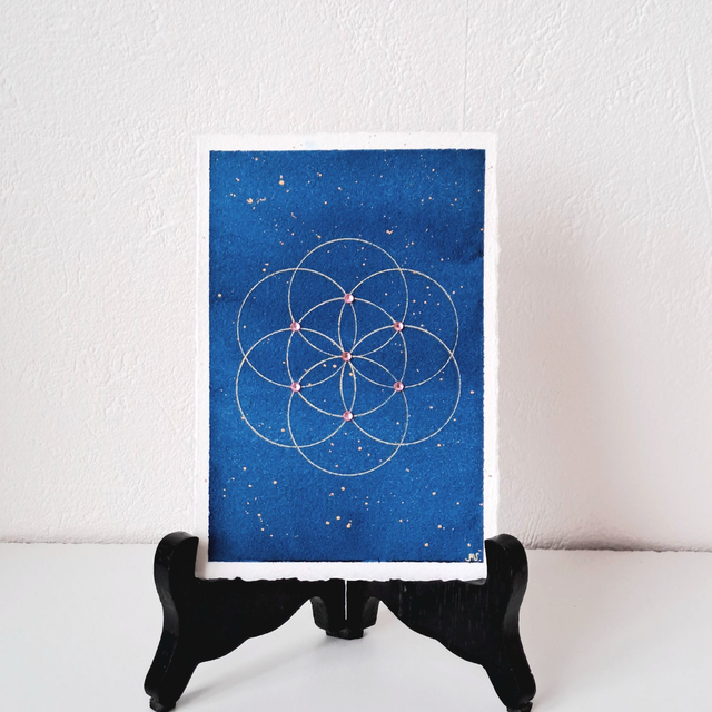 Graine de Vie Bleue