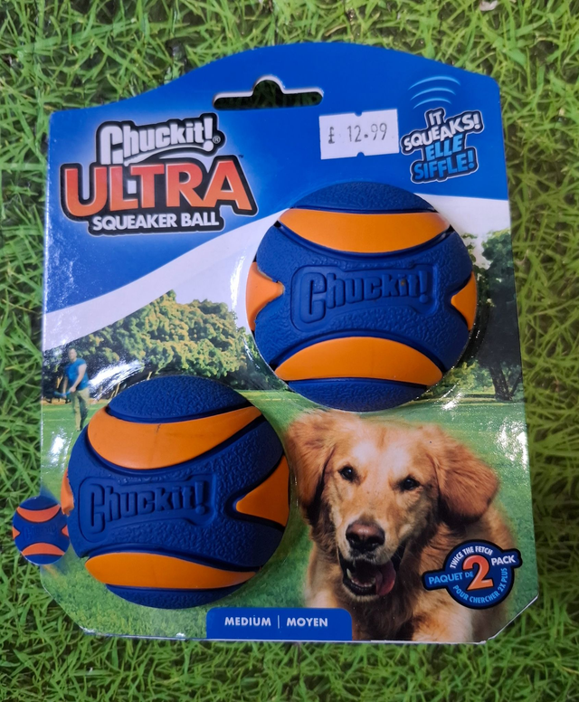 Chuckit Ultra Squeaker Balls Medium