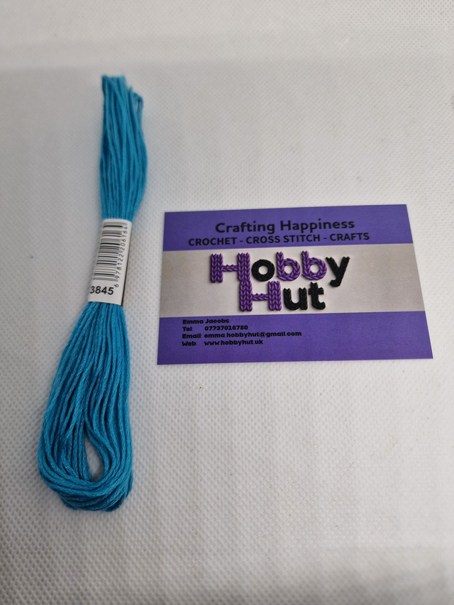 Embroidery Thread - 3845