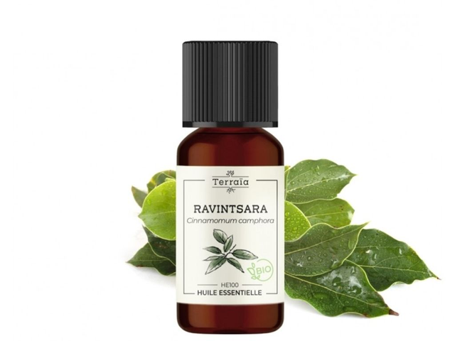 HUILE ESSENTIELLE RAVINTSARA BIO 