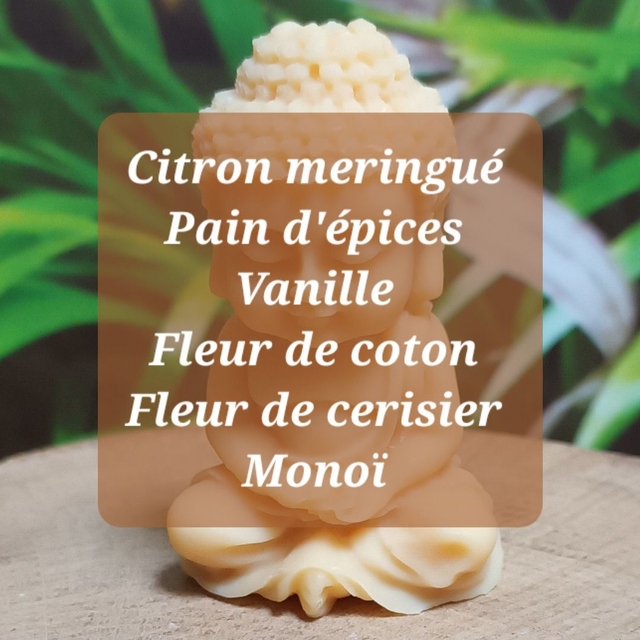 Lot de 6 Fondants Parfumés - 5 + 1 Offert