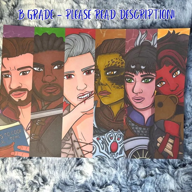 Baldur's Gate 3 Companions A4 Print B GRADE